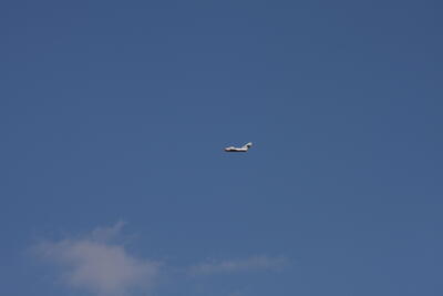 IMG 1810